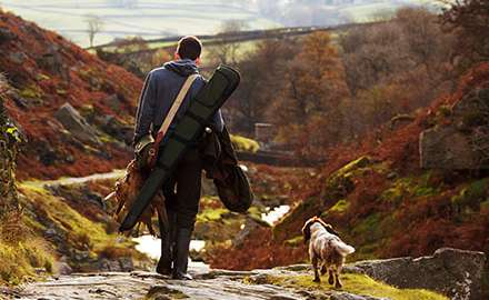 deer hunting - hunter and dog