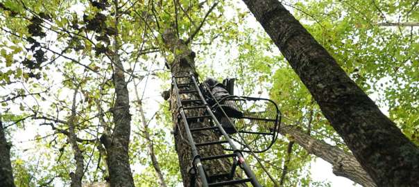 how to keep safe on a treestand