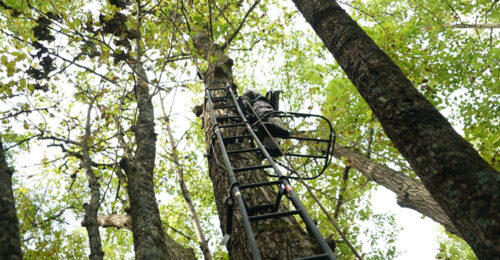 21 Hunting Safety Tips That Every Hunter Should Know