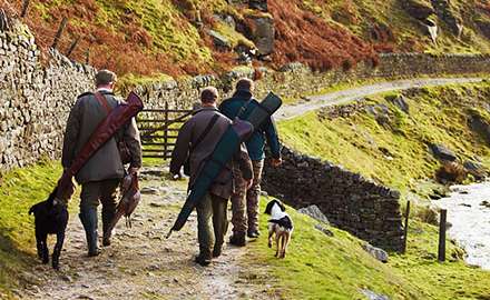 go hunting with a dog