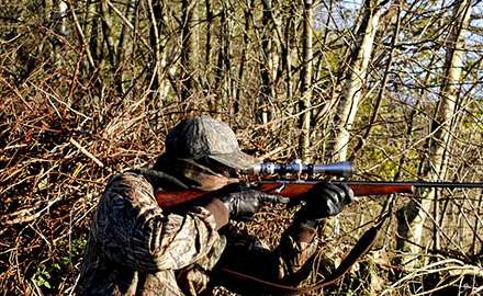 shooting from a distance