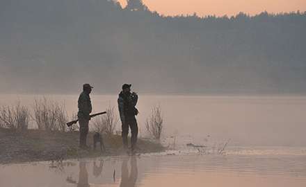 Two hunters are exploring the wild with a dog