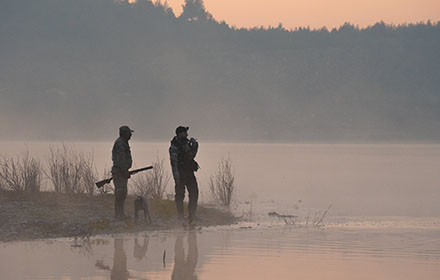 10 Tips for Coon Hunting With Dogs