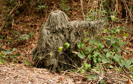 Everything You Need to Know About Ghillie Suit