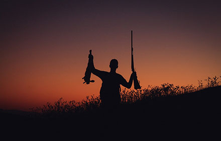 What Is The Best State to Hunt Quail? 5 Top Options