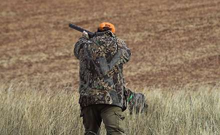 Alabama hunting season - KalKal