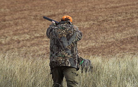 Alabama Hunting Seasons Guide (Full Schedules + Rules Breakdown)