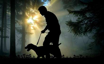 go hunting with a hunting dog