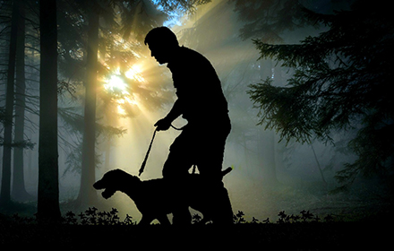 Which Dog is Best for Hunting