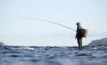 An angler is fishing by the river