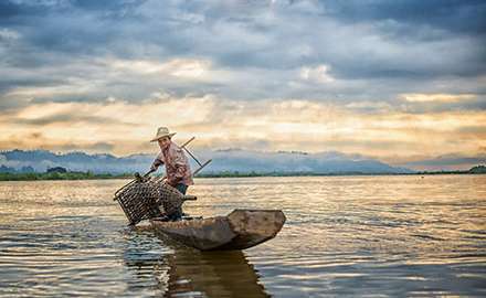 A fishman is catching seafood