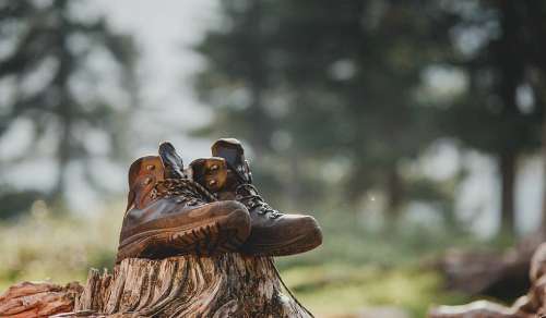 8 Best Logger Boots for Maximum Safety & Comfort