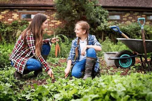 Selection Guide: Best Garden Boots for Lawn Maintenance