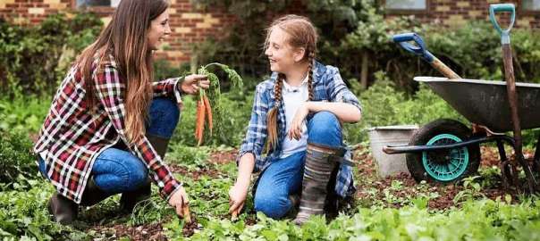 how to choose the best garden boots