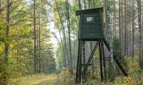 6 Best 360 Degree Hunting Blinds Recommendations