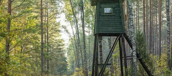 360 hunting blind in the wood