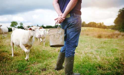 Ultimate Buying Guide To Boots For Butchers