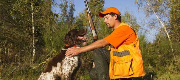 why do hunters wear orange