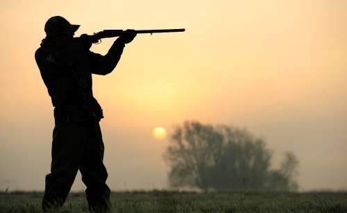 Texas Hunting Seasons 2025: Dates, License&Regulations