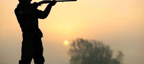 Texas hunting seasons for hunters