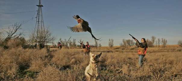 hunting birds in Florida dove season
