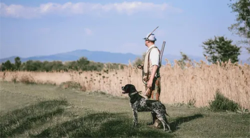 Dog Hunting Boots: Is It A Good Idea For Dogs?