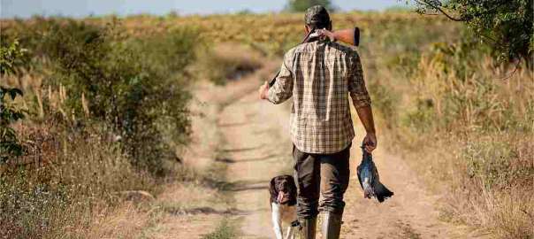 Dove Hunting Season in Georgia