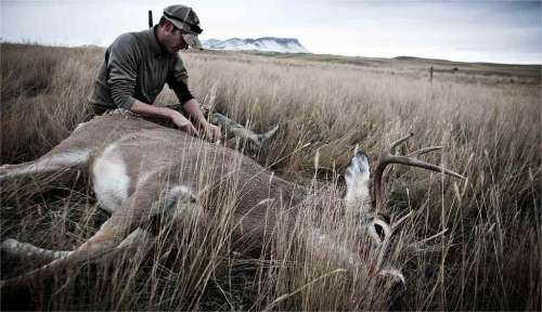 California Hunting Season 2025 Schedule: Dates&Limits