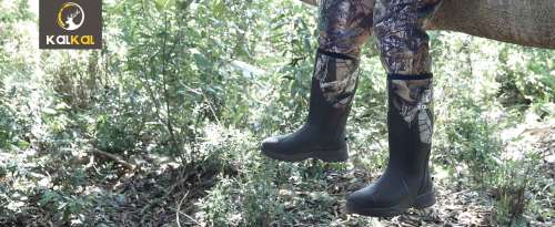 2025-2026 Louisiana Hunting Season Dates&Regulations