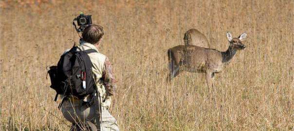 deer hunting in Kentucky