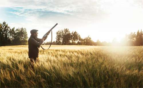Best Upland Bird Hunting Boots For Every Terrain