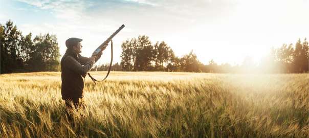 upland bird hunting