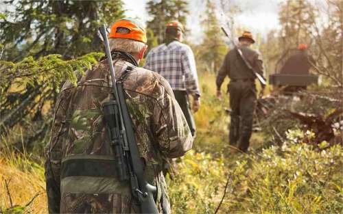 What Is California Big Game Draw? How Does It Work?