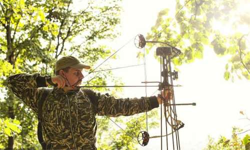 5 Best Recurve Bow That Worth Your Shots