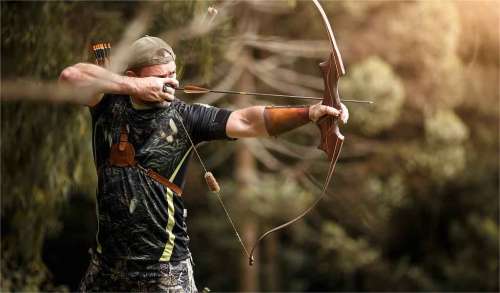 Crossbow vs Compound Bow: Which Is Best For Hunting?