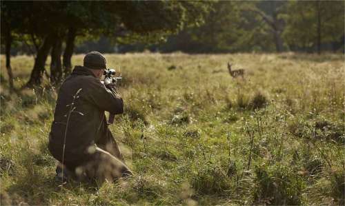 Illinois Hunting Seasons 2025: Dates, License&Regulations