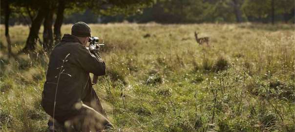 hunt in Illinois Deer Season