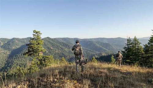 Missouri Hunting Seasons Explained: Calendar, Licenses & Locations