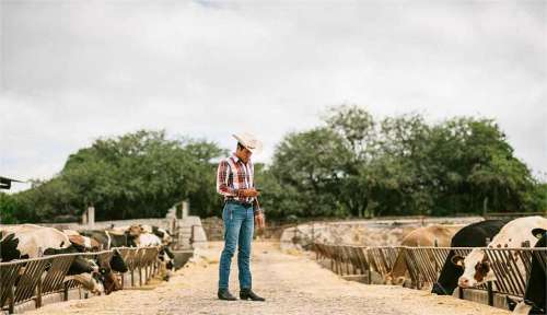 The Truth: Are Cowboy Boots Good For Farm Working?