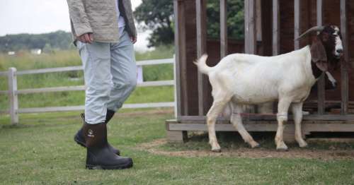 Homestead Vs Farmstead: Which One Is Right For You?