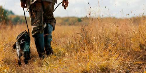 Montana Hunting Seasons Dates And Rules In 2025