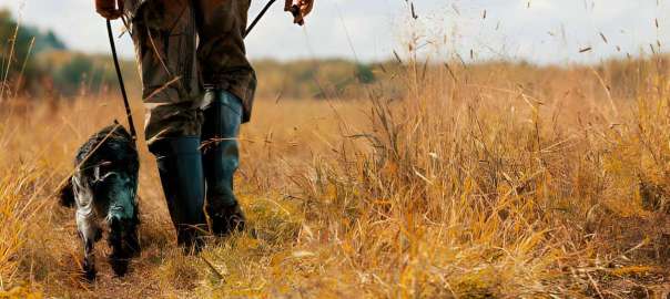 hunt in Montana state