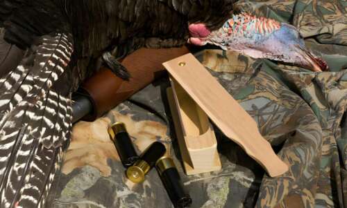 7 Best Turkey Box Call For This Turkey Seasons