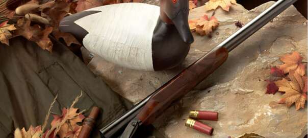 duck decoy for hunting