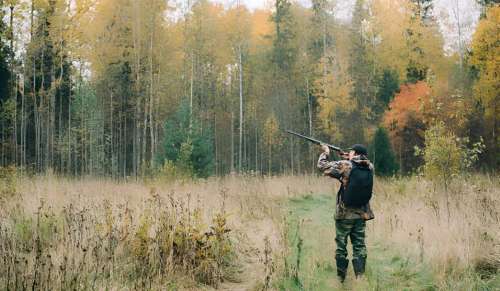 Vermont Hunting Seasons 2025: Dates, License&Regulations
