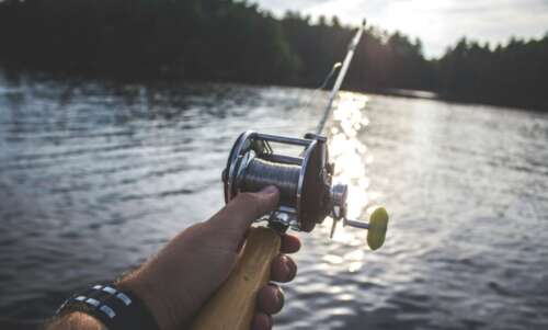 Florida Fishing Seasons Guide: When And How To Fish