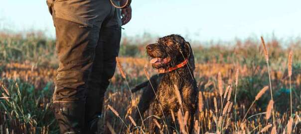 a hunter with a poodle dog