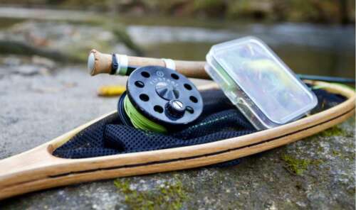 Dry Fly vs Wet Fly: Which One Should You Use?