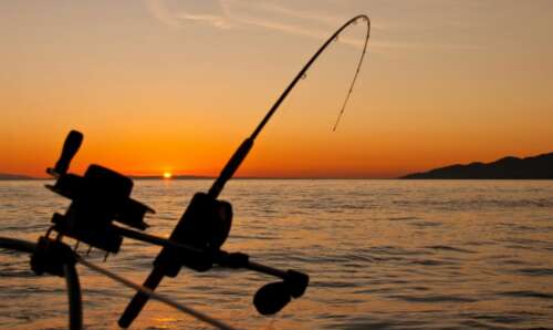 Truth: Is It Better To Fishing With A Full Moon?