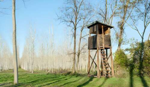 Ground Blind vs Tree Stand: Which One to Choose?